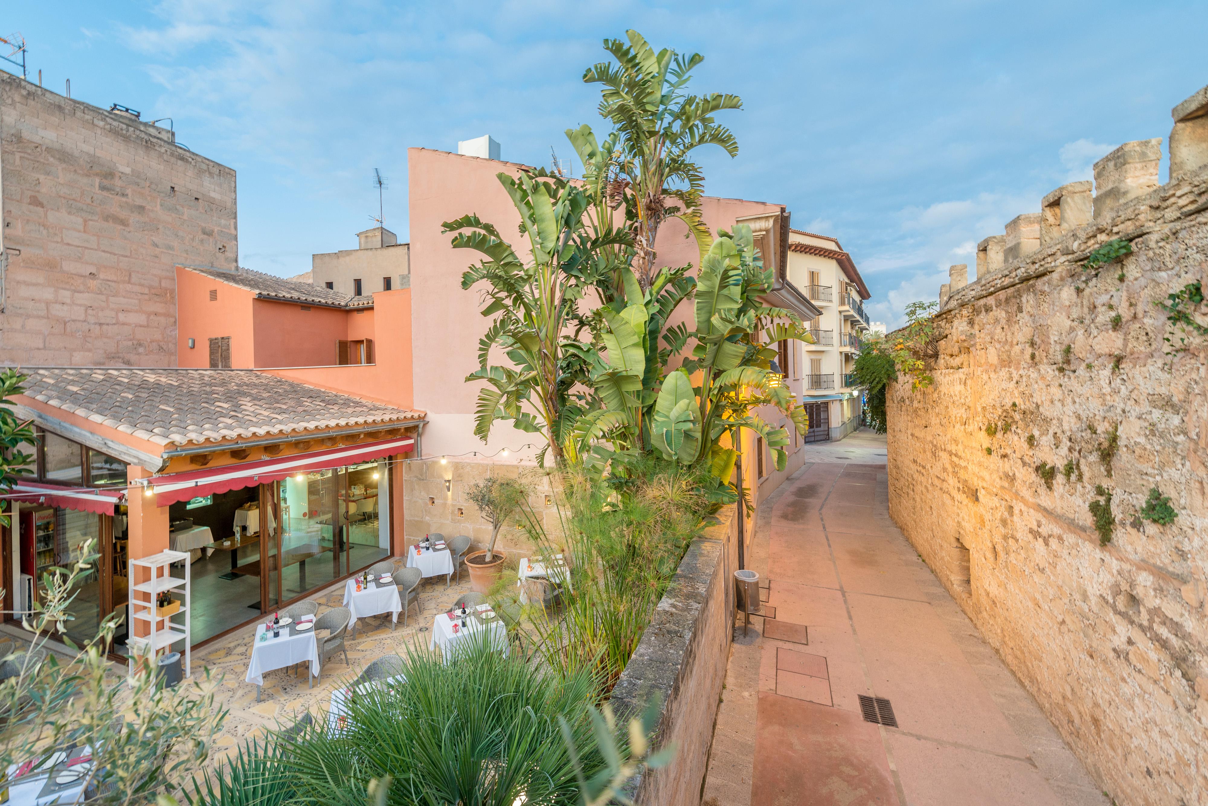 ホテル Alcudia Petit - Turismo De Interior エクステリア 写真