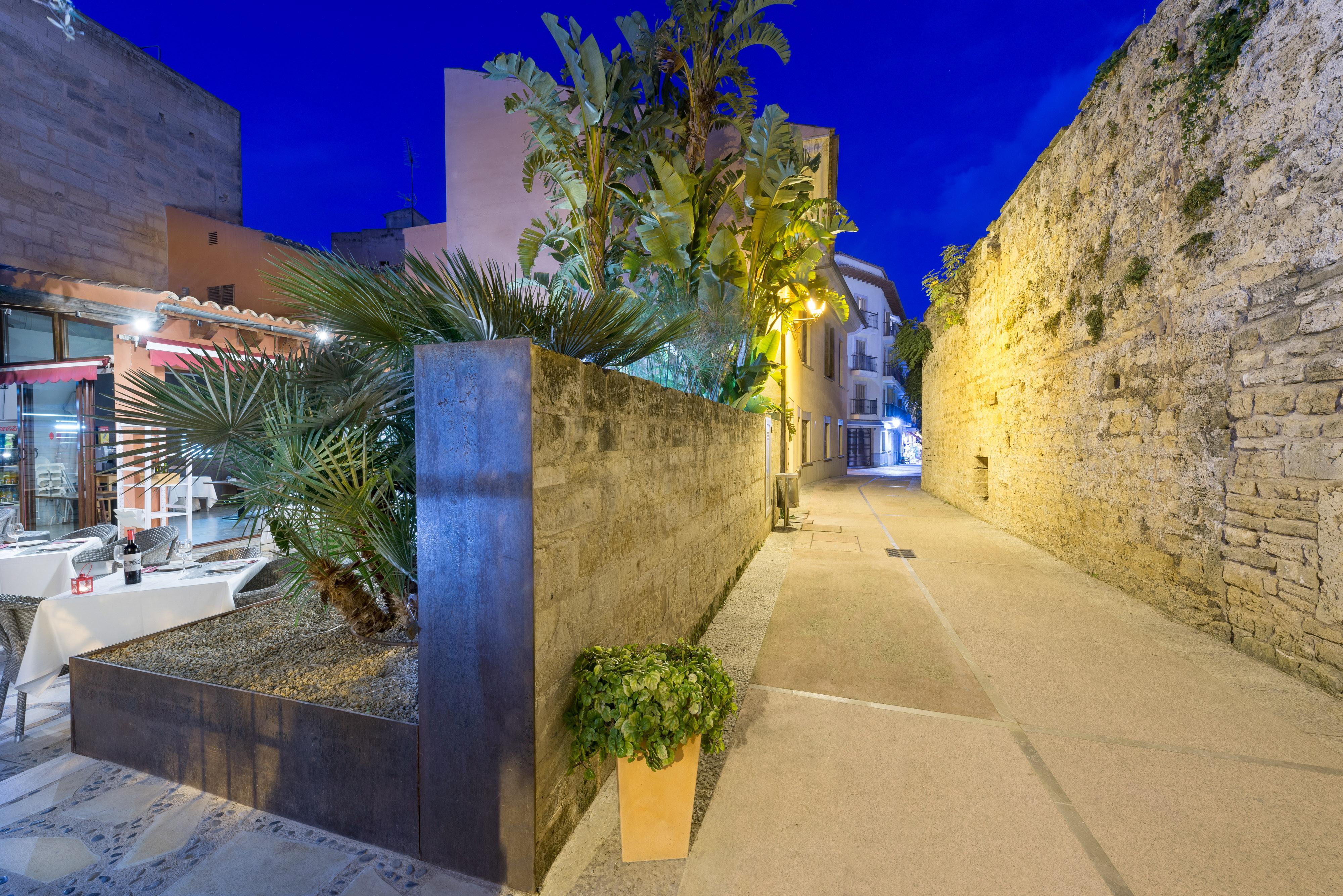 ホテル Alcudia Petit - Turismo De Interior エクステリア 写真